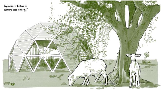 Symbiosis between energy and nature