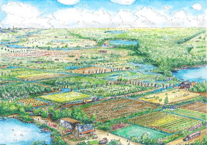 Subak: Water irrigation system
